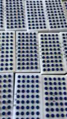 Горячая продажа пептидов промежуточного серактида 10мг/флакон CAS 12279